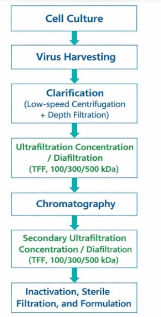 Rūpnieciskais -Mēroga pakārtotais attīrīšanas process liellopu infekciozā rin...